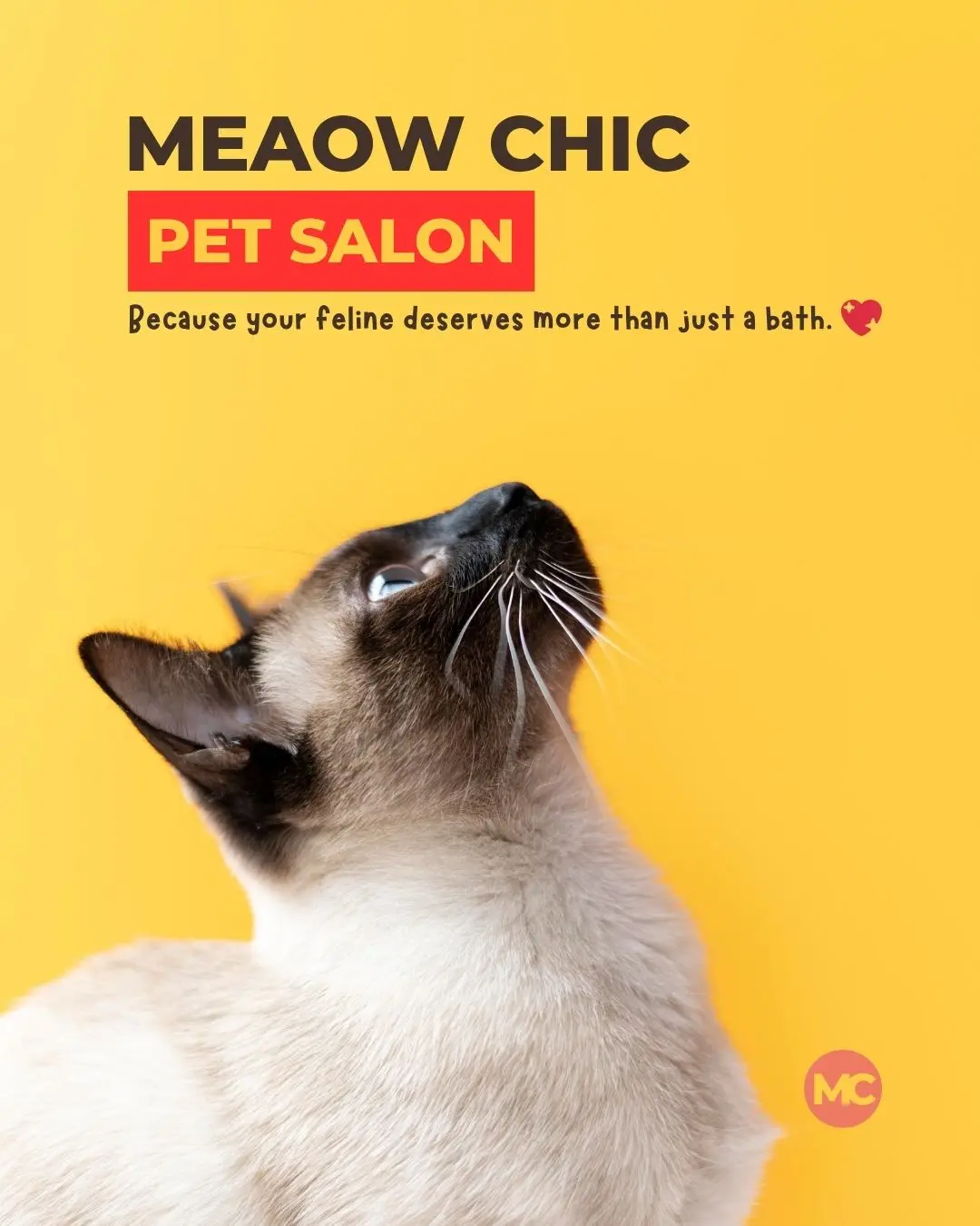 Desain Social Media Carousel Design: Cat-Only Pet Salon Edition - Carousel Design