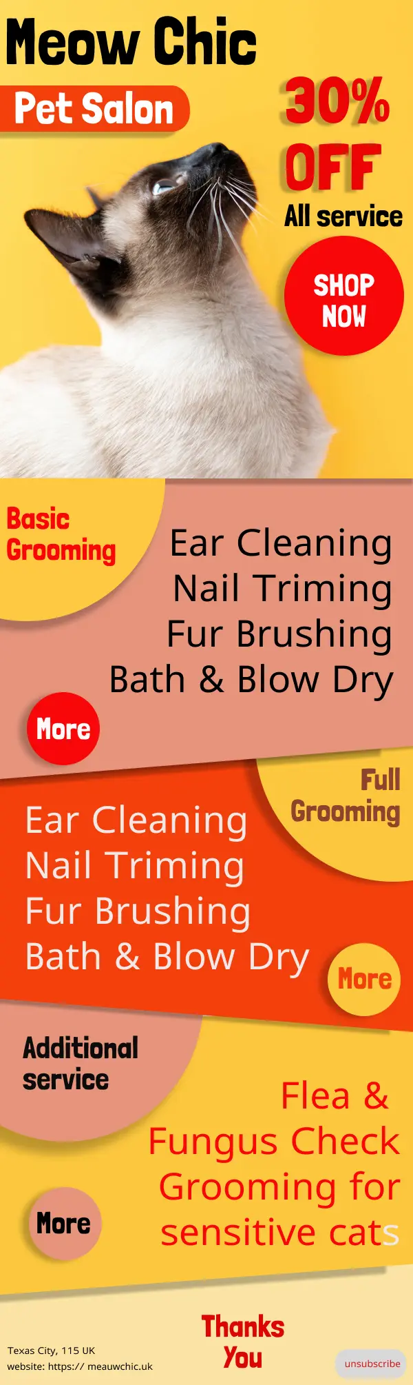 Desain Email Marketing Design for Cat Grooming Salon - Email Design